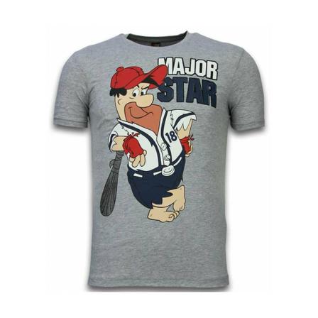 Local Fanatic - T-shirts - Grå - Herr - Storlek: Xs, Herr, Storlek: XS