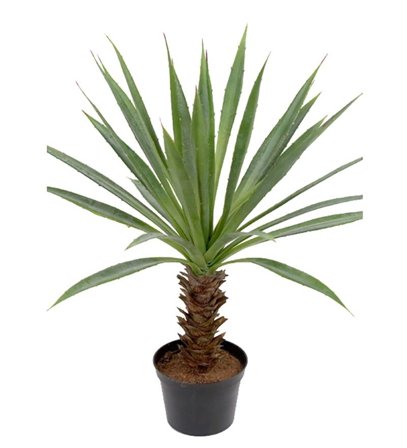 Mr Plant Kunstig Plante Agave H40cm