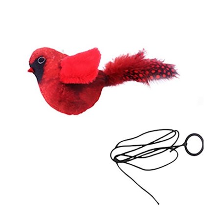 Katt Leksak Fågel Katt Leksak RÖD
