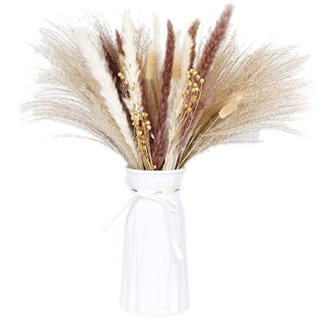 Pappas gress plommer, Fluffy Pappas gress plantegrener, Tusk og Bulldog, Faux Pappas bukett planter bryllupsdekor