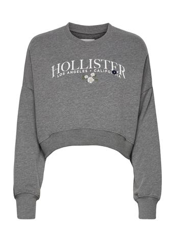 Hco. Girls Sweatshirts Grey Hollister