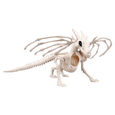Skelet Dekoration Drage