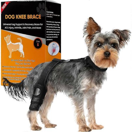 Hund ACL Knebeskytter Hund Knebeskytter for Revet ACL Bakben, Hund Knestøtte med Korsbåndskade, for Artritt, Hoftesmerter