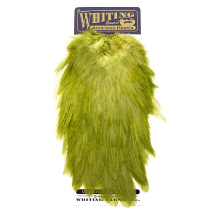 Whiting American Rooster Saddle - WD Olive