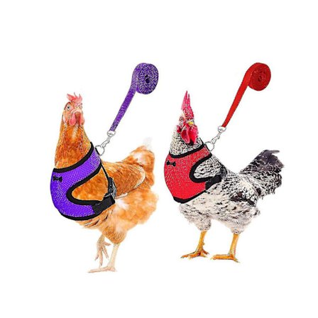 2 pakkauksen kanan valjaat ja talutushihna, parannetut säädettävät hengittävät valjaat, suunniteltu kanojen, ankkojen ja hanhien harjoitteluun ja 