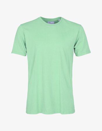 Classic Organic Tee - Faded Mint - S