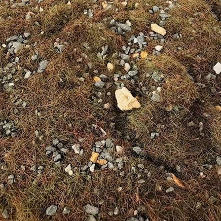 50g Mark Gräs Sten Simulering Vegetation Pulver BRUNT