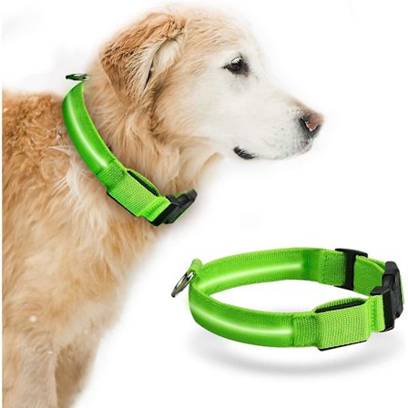 LED Hundehalsbånd USB Oppladbart Lysende Hundehalsbånd Med Oppladbare Og Vanntette Blinkende Halsbånd