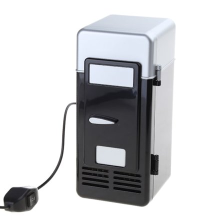 Minikylskåp Dryckesdryck Kylare och Värmare Kylskåp Mini Bilskåp