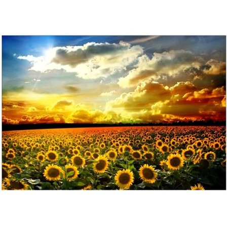 IC Solros Landskap DIY Timanttimaalaus 5D Täysi Timantti Ristipistos Tarra Timanttimaalaus, 30*40cm,