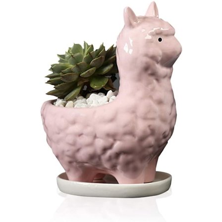 Sød Alpaka Sukkulent Plantepotte med Drænsbakke, Hvid Cera