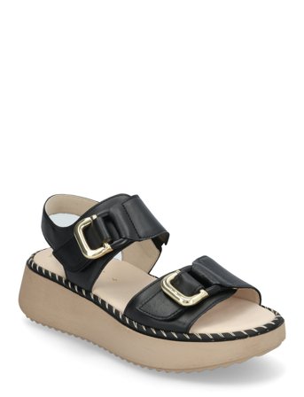 Gabor | Sandal | 40