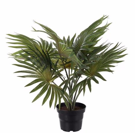 Mr Plant Kunstig Plante Palme