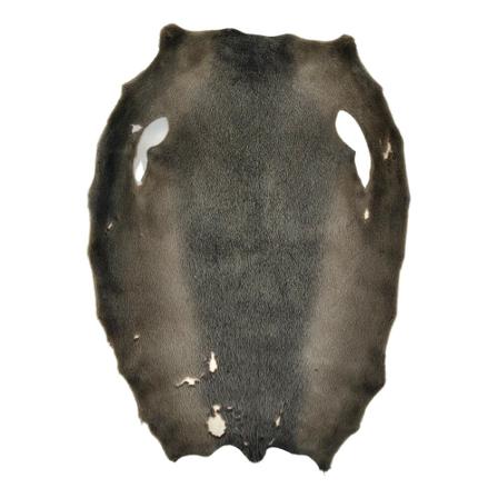 Levinsky Seal Blueback Grey - Dressed Fur Skin - Fur Grå, Dame, Størrelse: ONE Size