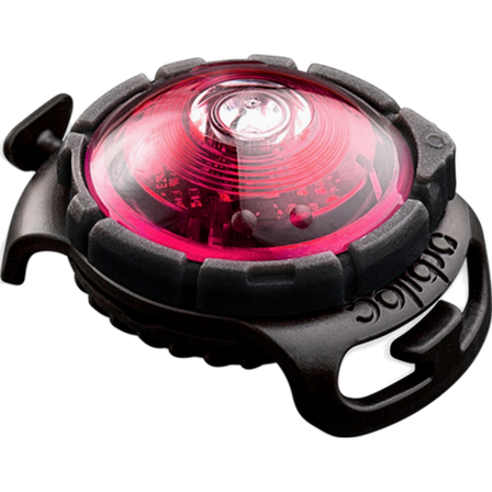 Orbiloc - Safety Light Dog Dual LED - With Quick Mount & Adjustable Strap Pink 5 km - Hund - Halsbånd - ZOO.no