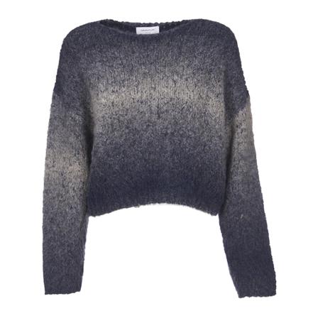 Fabiana Filippi Sweatshirts Blå, Dame