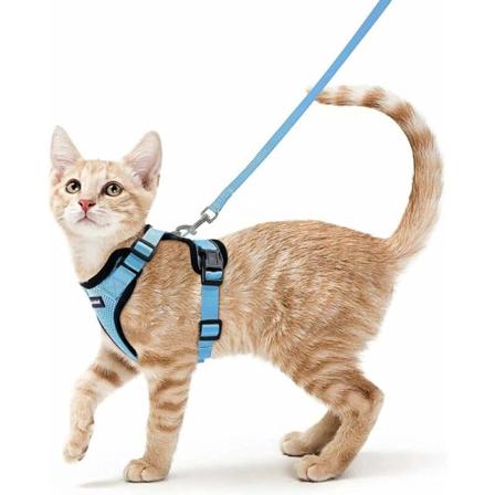 Kattsele Liten Hundkoppel Justerbar Kattunge Sele Ljusblå