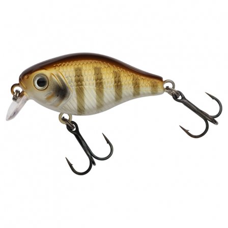 Berkley Pulse Fry Shallow 3.8cm - Goldie