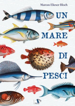 Un mare di pesci. Ediz. a colori Marcus Elieser Bloch