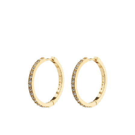 Pilgrim Ebna Earrings Smycken & klockor Dam Guld ONESIZE