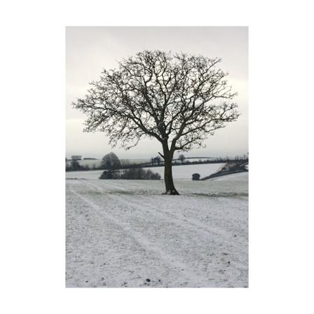 Kevin Milner Cope Farm Tree Jul Kort En Storlek Off White/C Off White/Cream/Grey Print One Size