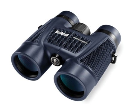 Bushnell H2O 10x42 Roof
