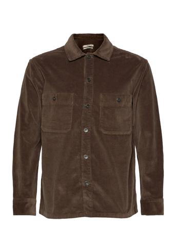 Pompeia Brown Mango