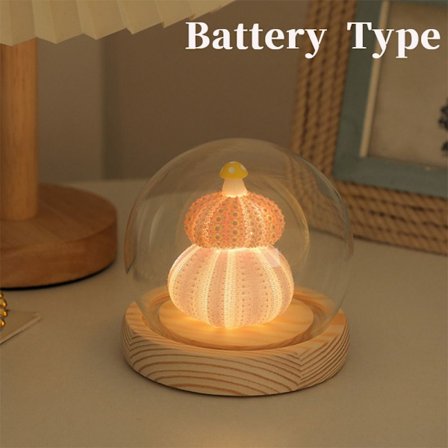 Shell Mushroom Night Light LED Bordlys DIY MATERIALE-C DIY