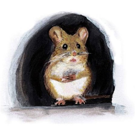 5 st roliga mus hål dekal klistermärke konst mus hål väggdekaler