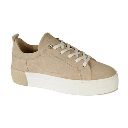 Roberto d'Angelo, schoenen sneakers Beige, Dames, Maat:37 EU,leer