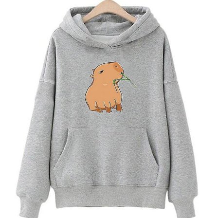 Funny Capybara Print Hoodie Women/men Kawaii Cartoon Tops Sweatshirt For Girls Unisex Fashion Harajuku Graphic Hooded Pullovers-G .i gray
