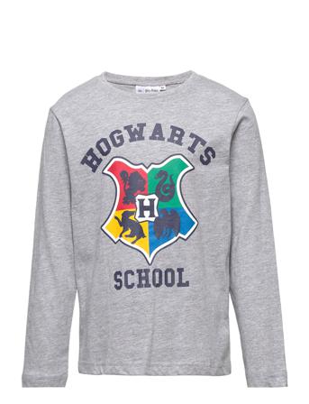 Long-Sleeved T-Shirt T-shirts Long-sleeved T-shirts Grå Harry Potter