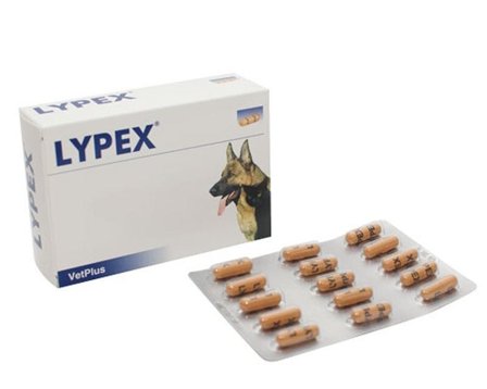 Lypex Integratore Animali Domestici 60 Capsule Digestione Sana