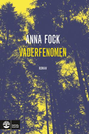 Väderfenomen - Bok av Anna Fock - Pocket
