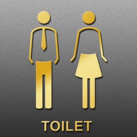 19 x 14 cm, personlig toalett skyltning, toalett skyltning - slips - guld