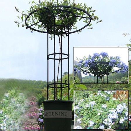 Havegitter til klatreplanter og blomster, metalhavegitter til udendørs brug - XC