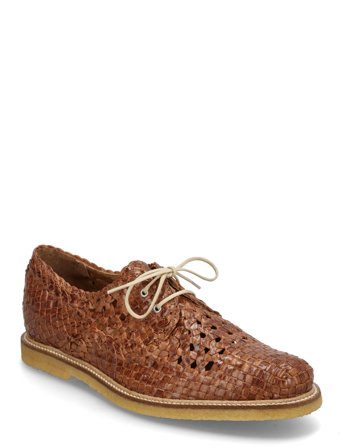 ANGULUS Shoes - Flat - With Lace - Brown - 37-25.0CM