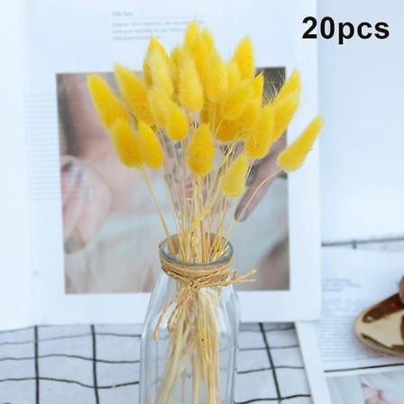 20 kpl Kaninhäntäruoho luonnollisia kuivattuja kukkia kodin sisustukseen Kukka-asetelma pitkä Yellow