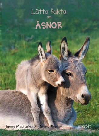 Lätta fakta om åsnor - Bok av James Maclaine - Kartonnage