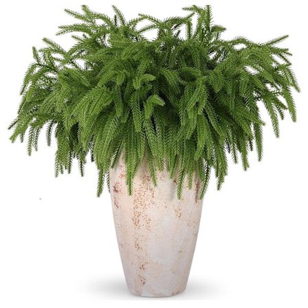 12 stk. kunstige Norfolk-furu grener, kunstige furu stilker DIY håndverk, julekrans hjemmedekorasjon