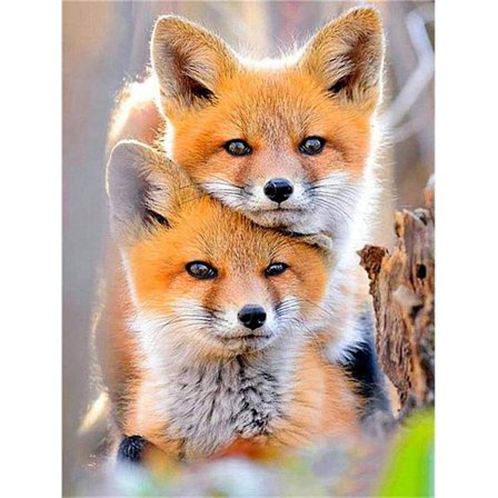 30 x 40 cm DIY 5D Diamantmaleri Rev A