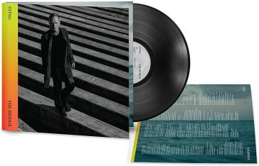 The bridge - Lp Sting