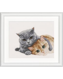 Stickpackung Bild Beste Freunde