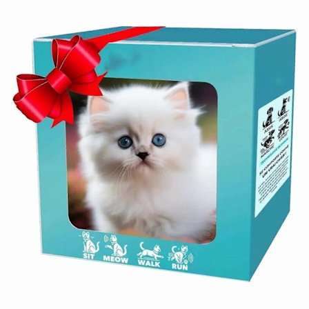 Robotkat til børn, aktivitetslegetøj, kort plysfigur, robotkat, aktivitetslegetøj (LGL)