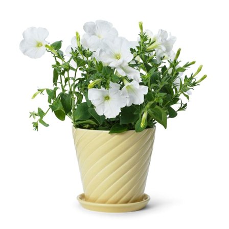 In Flore Sigrid Blomkruka Och Fat Krukor & vaser Gul