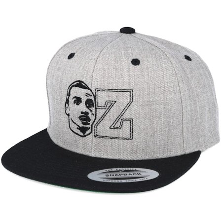 Forza - Grå snapback Caps - Ztar Grey/Black Snapback @ Hatstore
