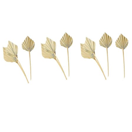 10 kpl Boho Kuiva Palmun Lehdet Luonnollinen Kuiva Palmun Lehti Fanit Kuiva Palmun Lehdet Kuiva Palmun Lehti Fanit Le