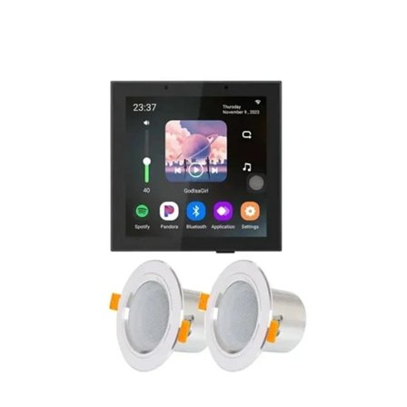 4 tum Tuya WiFi Förstärkare Alexa Fjärrkontroll med Full Range Högtalare Set