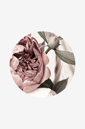 Malerifabrikken - Bilde Opulent 2 - Rosa - Bilder & skilt - Fra Homeroom