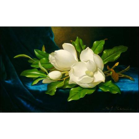 Giant Magnolias On Blue Velvet Cloth, Martin Johnson Heade Brun